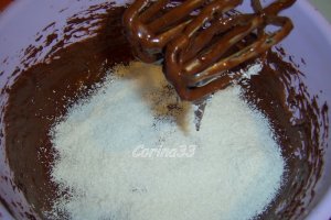 Briose negricioase cu cocos si budinca
