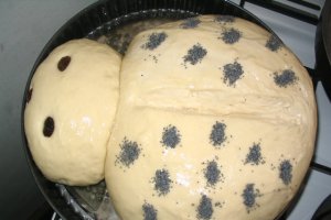 Paine Gargarita