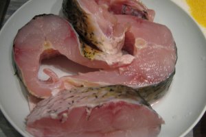 Amur alb pane