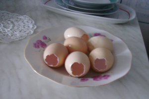 Oua umplute ptr aperitiv