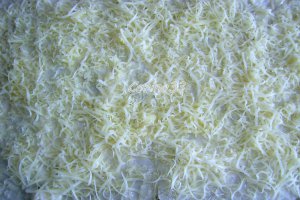 Lasagne cu ciuperci