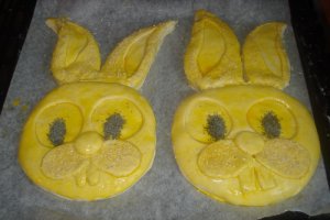 Painica Iepurasi Dragalasi
