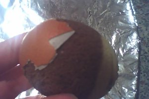 Mini checulete in coji de oua