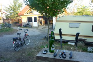 File de stiuca,fara piele,fara os ,fript cu garnitura de cartofi nature,patrunjel verde si lamaie
