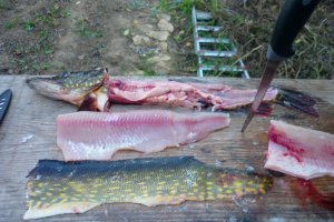 File de stiuca,fara piele,fara os ,fript cu garnitura de cartofi nature,patrunjel verde si lamaie