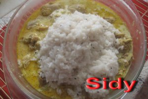 Biryani cu pui