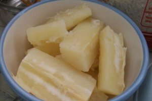 Yuca Prajita