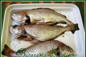 Tacaud la cuptor in sos aromat