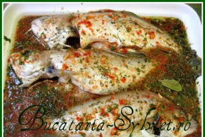 Tacaud la cuptor in sos aromat
