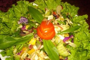 Salata Diana