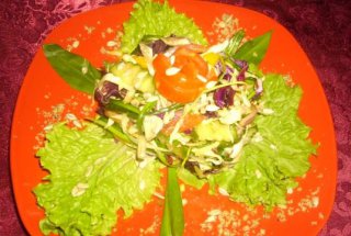 Salata Diana