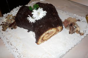 Trunchi de copac
