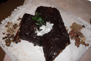 Trunchi de copac