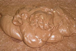 Desert prajitura cu ciocolata