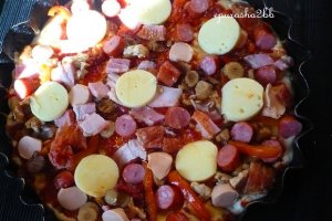 Pizza bogata