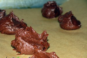 Biscuiti cu cacao