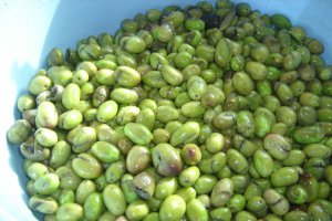 Masline verzi conservate in saramura si ulei de masline- specific tarilor arabe