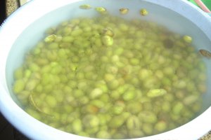Masline verzi conservate in saramura si ulei de masline- specific tarilor arabe