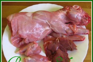 Bors de iepure
