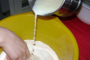 Gogosici americane