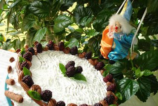 Tort racoros de primavara