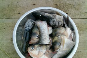 Ciorba de peste