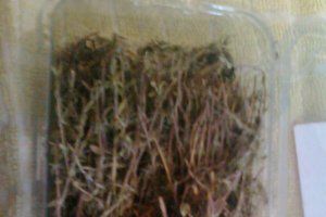 Ciorba de fasolica manastireasca