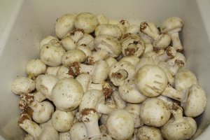 Zacusca de ciuperci