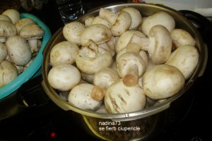 Zacusca de ciuperci