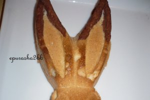 Chec Iepuras