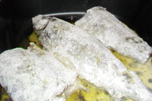 Pastrav cu sos bechamel si ciuperci
