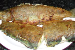 Pastrav cu sos bechamel si ciuperci