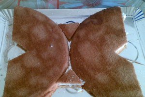 Tort fluturas