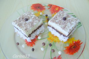 Prajitura de cocos cu vanilie si ciocolata