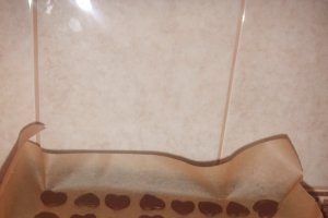 Biscuiti cu cacao, cafea si scortisoara