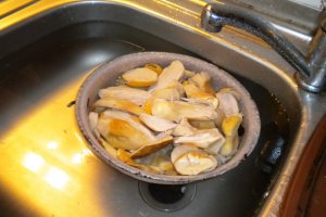 Rulada de hribi