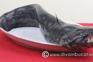 Rasol de somn pe pat de cartofi si maioneza