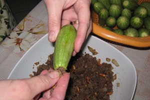 Dovlecei zucchini umpluti cu carne de vita in supa de iaurt cu garnitura de orez