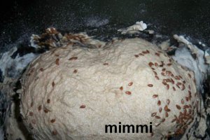 Paine neagra cu masline