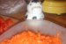 Iahnie de fasole cu carnati, mamaliguta si castraveciori murati-2