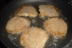 Pleurotus pane