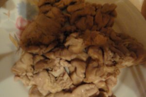 Creier pane