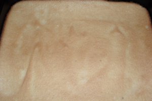 Prajitura cu piersici si mascarpone