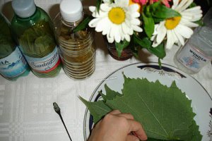 Frunze de vita pentru iarna