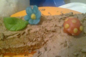 Buturuga de ciocolata