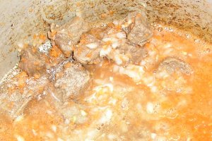 Tocanita de vita in sos vanatoresc