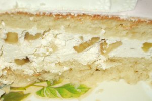 Tort Mariposa - diplomat