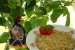 Salata de fasole galbena cu usturoi-3