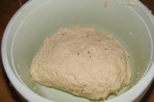 Covrigei fragezi