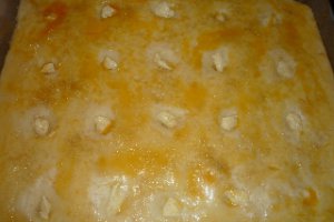 Fiamminga